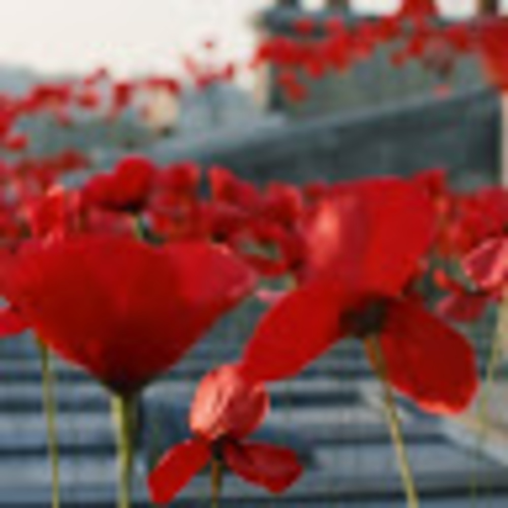 Meet your Posher, Camille